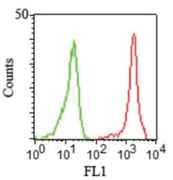 Integrin alpha L/CD11a Antibody (CRIS-3), Novus Biologicals 0.02mg; Unlabeled:Antibodies,