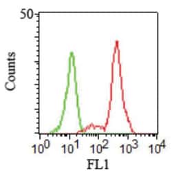 CD11c Antibody (HC1/1), Novus Biologicals 0.1mg; Unlabeled:Antibodies,