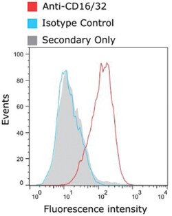Fc gamma RII/RIII (CD32/CD16) Antibody (2.4G2) - Chimeric - Azide and BSA