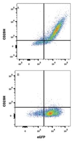 TMIGD2 Antibody (953730) - Azide and BSA Free, R D Systems 100&mu;g; Unlabeled:Antibodies,