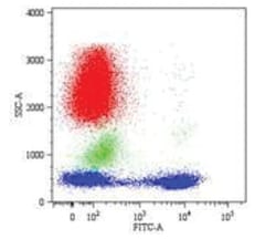 CD5 Mouse, Clone: CRIS-1, Novus Biologicals 0.1mg; Unlabeled:Antibodies,