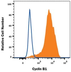 Cyclin B1 Antibody (2061A) - Azide and BSA Free, Novus Biologicals 100&mu;g;