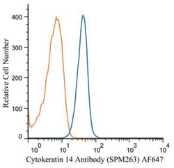 Cytokeratin 14 Mouse, Clone: SPM263, Novus Biologicals 0.2mg; Unlabeled:Antibodies,