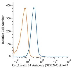 Cytokeratin 14 Mouse, Clone: SPM263, Novus Biologicals 0.2mg; Unlabeled:Antibodies,