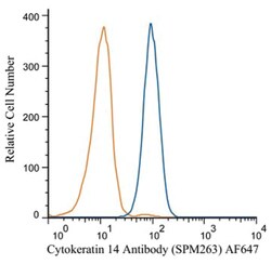 Cytokeratin 14 Mouse, Clone: SPM263, Novus Biologicals 0.2mg; Unlabeled:Antibodies,