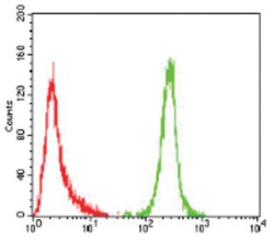 ErbB4/Her4 Antibody (5G6B4) - BSA Free, Novus Biologicals 0.1mg; Unlabeled:Antibodies,
