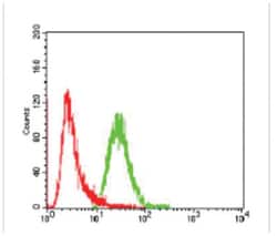 FGFR3 Antibody (2H10B4) - BSA Free, Novus Biologicals:Antibodies:Primary