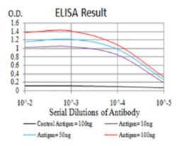 IL-28A/IFN-lambda 2 Antibody (6H9E6) - BSA Free, Novus Biologicals:Antibodies:Primary