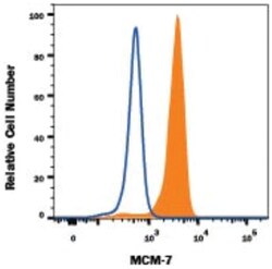MCM7 Antibody (2068C) - Azide and BSA Free, R D Systems:Antibodies:Primary