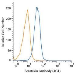 Senataxin Antibody (4G1) - BSA Free, Novus Biologicals 0.025mg; Unlabeled:Antibodies,