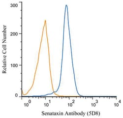 Senataxin Antibody (5D8) - BSA Free, Novus Biologicals 0.1mg; Unlabeled:Antibodies,