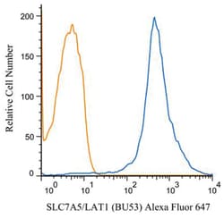 SLC7A5/LAT1 Antibody (BU53), Alexa Fluor 647, Novus Biologicals 0.1 mL | Buy Online | Novus Biologicals | Fisher Scientific