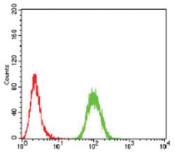 Sphingosine Kinase 2/SPHK2 Antibody (9C5E1) - BSA Free, Novus Biologicals