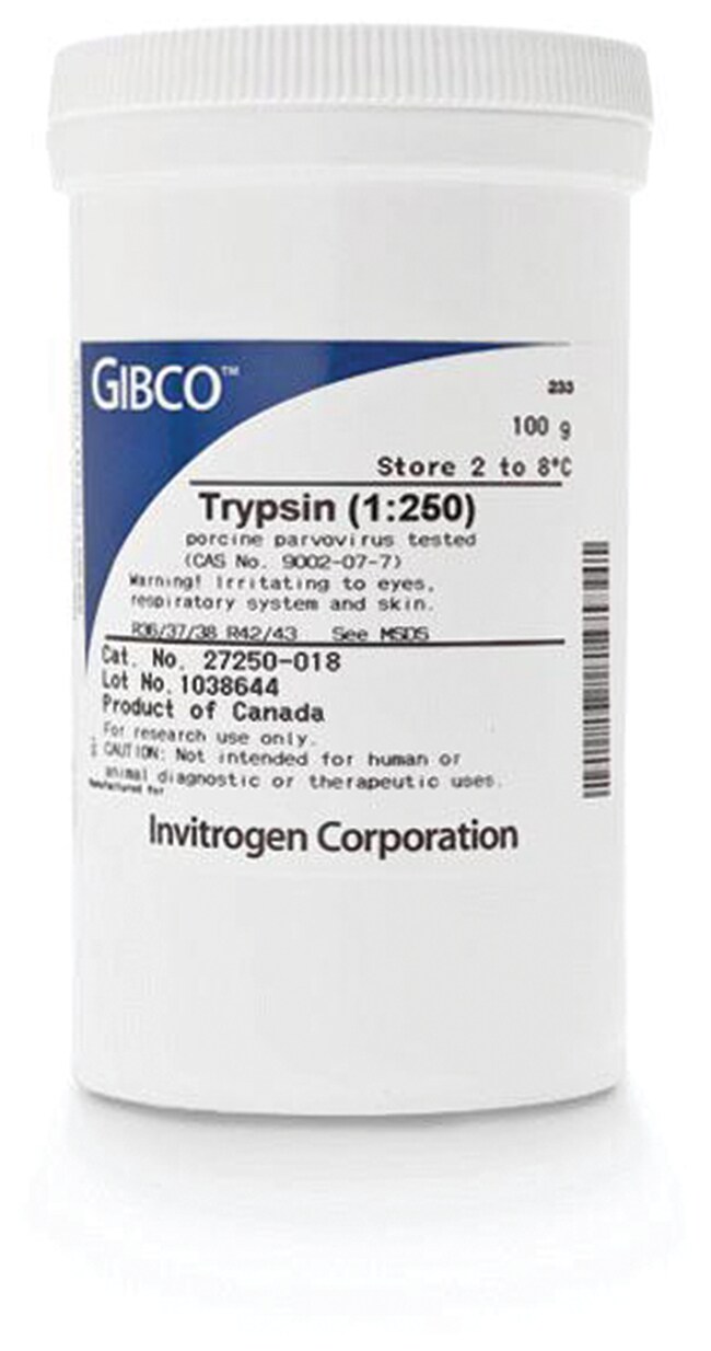 Gibco™ Trypsin (1250), powder 100 g Products Fisher Scientific