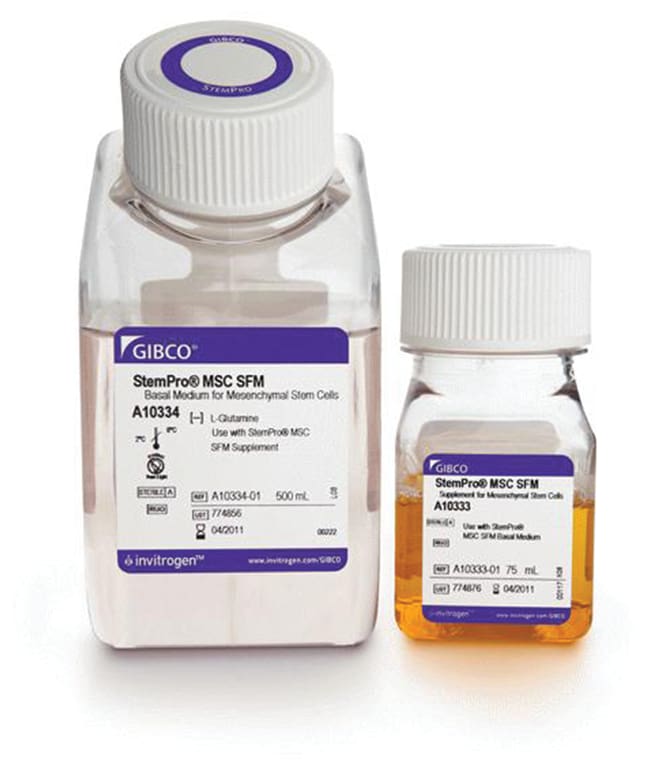 Gibco™ CTS™ StemPro™ MSC SFM 1 kit Stem Cell Culture Media Fisher