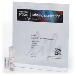 Invitrogen™ Quant-iT™ microRNA Reagent