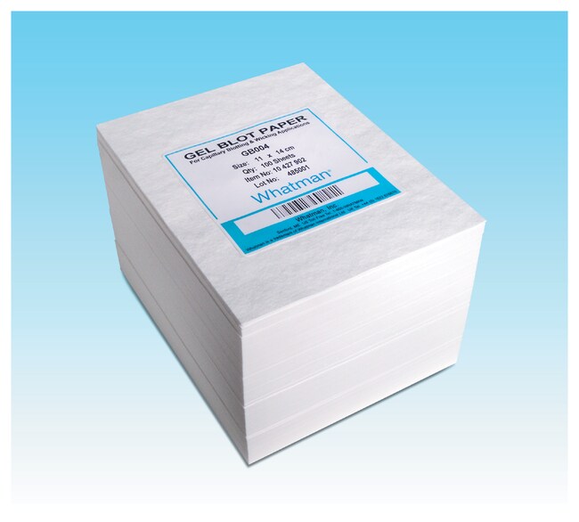 Whatman Grade GB004 Blotting PaperLife SciencesProtein Biology