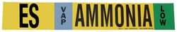 Brady™ Ammonia (IIAR) Pipe Markers, Legend: ES/VAP/LOW/Ammonia, B-946 Self-Sticking Vinyl