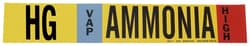 Brady™ Ammonia (IIAR) Pipe Markers, Legend: HG/VAP/Ammonia/HIGH