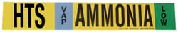 Brady Ammonia (IIAR) Pipe Markers, Legend: HTS/VAP/LOW/Ammonia, B-946 Self-Sticking
