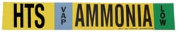 Brady&trade;&nbsp;Ammonia (IIAR) Pipe Markers, Legend: HTS/VAP/LOW/Ammonia, B-946 Self-Sticking Vinyl