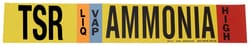 Brady Ammonia (IIAR) Pipe Markers, Legend: TSR/LIQ/VAP/HIGH/Ammonia, B-946 Self-Sticking Vinyl Style IHV | Buy Online | Brady&trade; | Fisher Scientific
