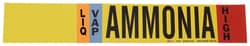 Brady Ammonia (IIAR) Pipe Markers, Legend: LIQ/VAP/HIGH/Ammonia, B-946 Self-Sticking Vinyl Style I | Buy Online | Brady&trade; | Fisher Scientific
