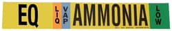 Brady Ammonia (IIAR) Pipe Markers, Legend: EQ/LIQ/VAP/HIGH/Ammonia, B-946