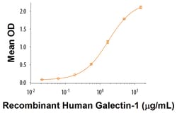 R&D Systems&trade;&nbsp;Recombinant Human AICL/CLEC-2B Fc Chimera Protein