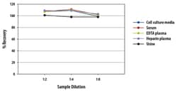 R D Systems Aldosterone Parameter Assay Kit 1 Kit | Buy Online | R&amp;D Systems&trade; | Fisher Scientific