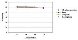 R D Systems Mouse alpha-Fetoprotein/AFP Quantikine ELISA Kit 1 Kit | Buy Online | R&amp;D Systems&trade; | Fisher Scientific
