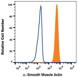 Human alpha-Smooth Muscle Actin Alexa Fluor 405-conjugated Antibody, R