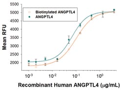 R D Systems Recombinant Human Angiopoietin-like 4 Biotin Protein 50 &mu;g | Buy Online | R&amp;D Systems&trade; | Fisher Scientific
