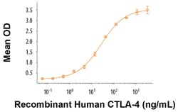 R&D Systems™ Recombinant Human B7-2/CD86 His Tag Protein