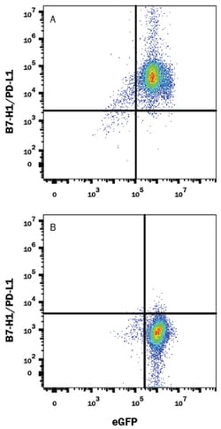 Mouse PD-L1/B7-H1 Antibody, R D Systems 25&mu;g; Unlabeled:Antibodies,