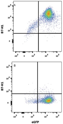 Mouse B7-H1/PD-L1 Alexa Fluor 647-conjugated Antibody, R D Systems 25 Tests;