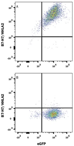 Human B7-H7/HHLA2 Alexa Fluor 647-conjugated Antibody, R D Systems 25 Tests;