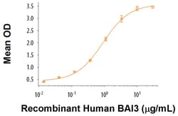 R&D Systems&trade;&nbsp;Recombinant Human BAI3 Protein