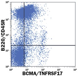 Mouse BCMA/TNFRSF17 Fluorescein-conjugated Antibody, R D Systems 100 Tests;