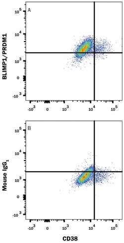 Human BLIMP1/PRDM1 Alexa Fluor 647-conjugated Antibody, R D Systems 25