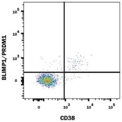 Human BLIMP1/PRDM1 Alexa Fluor 647-conjugated Antibody, R D Systems 25