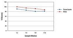 R D Systems Human Calbindin D Quantikine ELISA Kit 1 Kit | Buy Online | R&amp;D Systems&trade; | Fisher Scientific