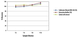 R D Systems Human Active Caspase-3 Quantikine ELISA Kit One 96-well plate:Immunoassay