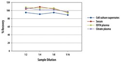 R D Systems Mouse CCL11/Eotaxin Quantikine ELISA Kit 2 x 96-well Plates | Buy Online | R&amp;D Systems&trade; | Fisher Scientific