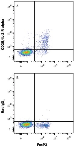 Mouse CD25/IL-2R alpha Alexa Fluor 488-conjugated Antibody, R D Systems