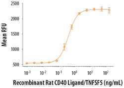 R D Systems Recombinant Rat CD40 Ligand/TNFSF5 (HA-tag) Protein 25 &mu;g | Buy Online | R&amp;D Systems&trade; | Fisher Scientific