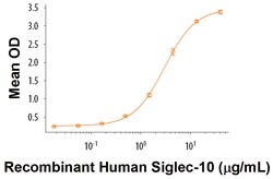 R&D Systems&trade;&nbsp;Recombinant Human CD52 Fc Chimera Protein