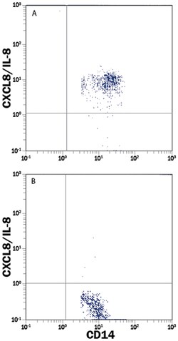 Human IL-8/CXCL8 Fluorescein-conjugated Antibody, R D Systems 100 Tests;