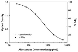 R D Systems Aldosterone Parameter Assay Kit 1 Kit | Buy Online | R&amp;D Systems&trade; | Fisher Scientific