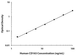 R D Systems Human CD163 Quantikine ELISA Kit 1 x 96-well Plate | Buy Online | R&amp;D Systems&trade; | Fisher Scientific
